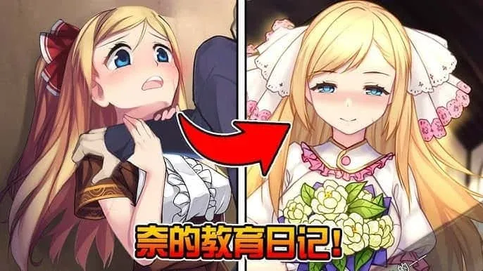 奈的教育日记 奈的教育日记绅士游戏双端版本 封面图